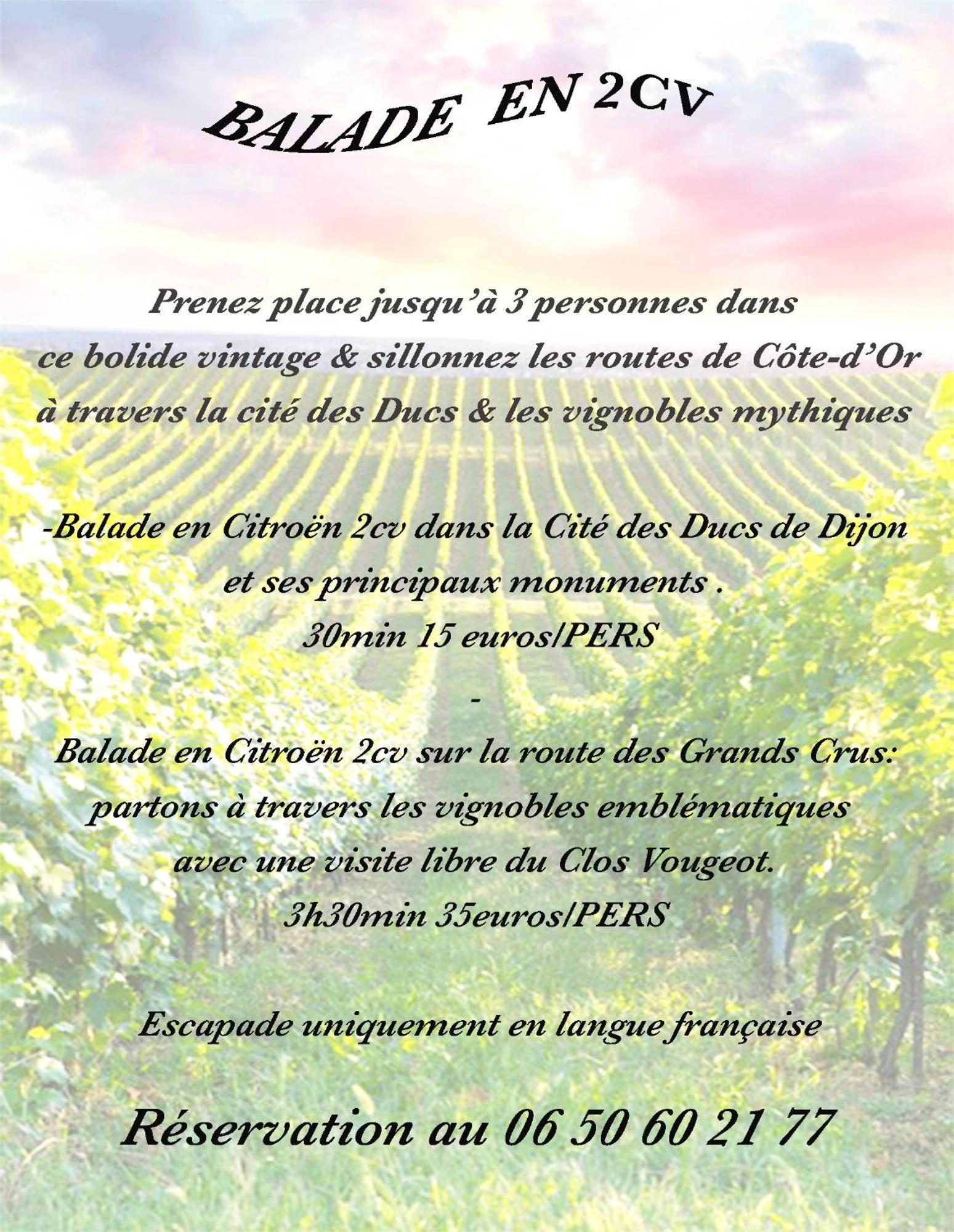 Apartamento Cosy Chouette Dijon Exterior foto